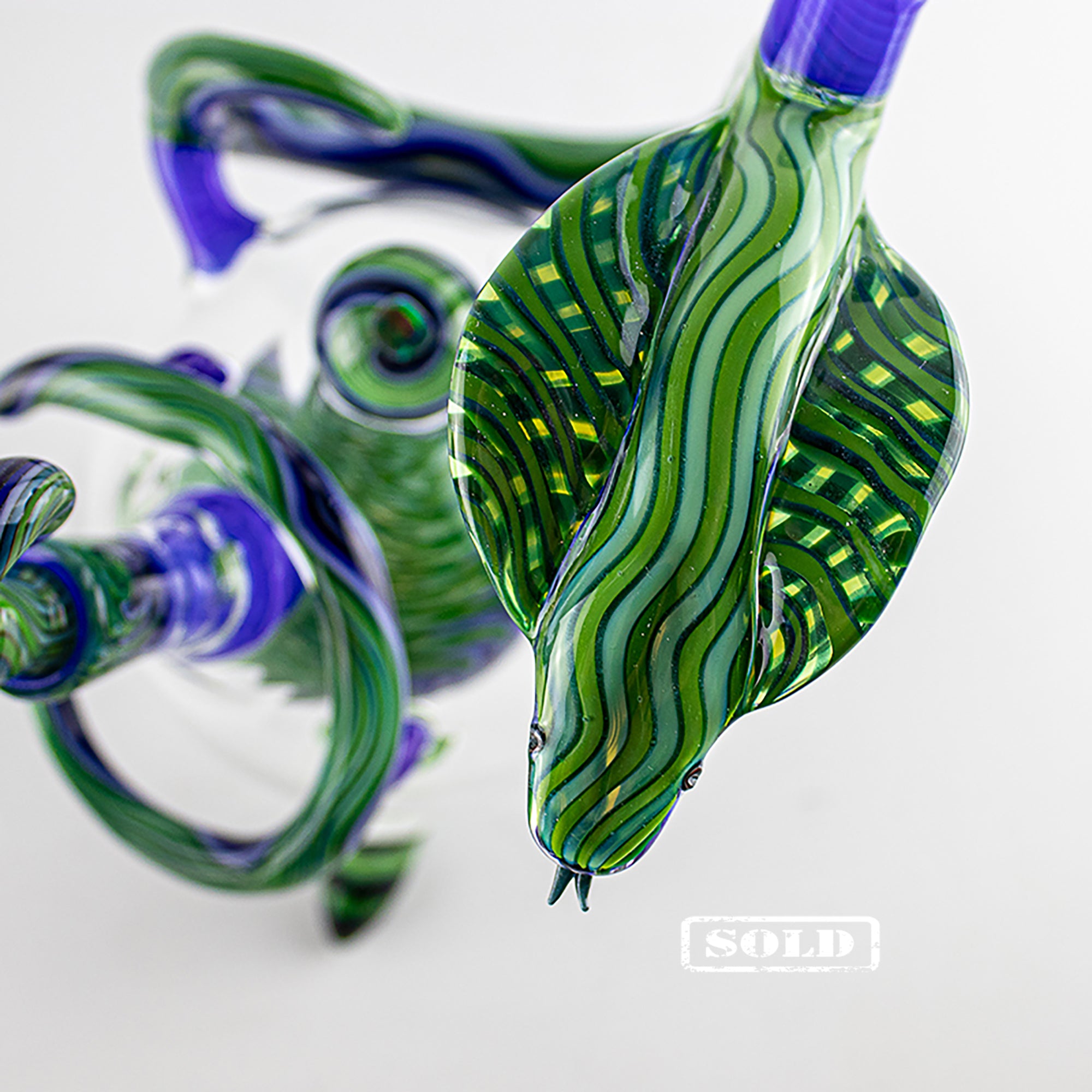 Best of 2020: gennaio "Snake"