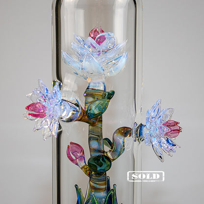 Il meglio del 2020: Dicembre "Ninfea"